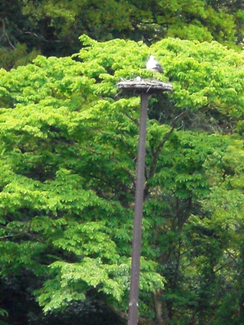 CIMG2668