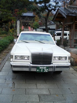 CIMG1304