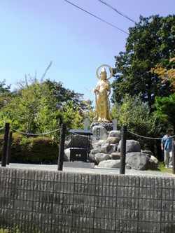 CIMG2238