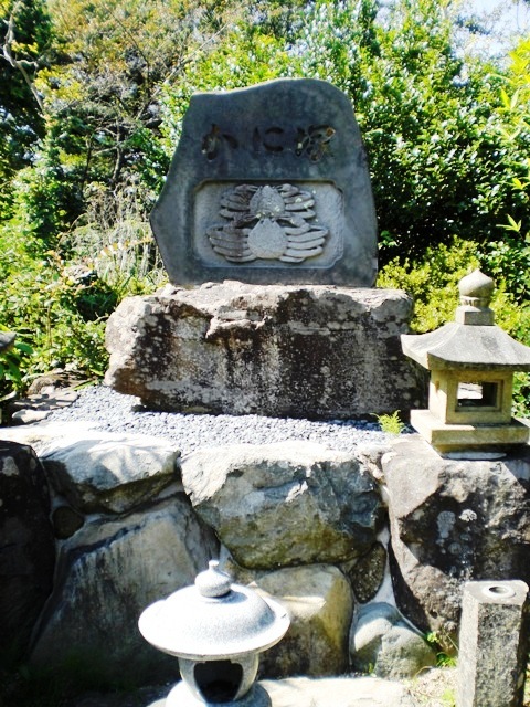 CIMG2241