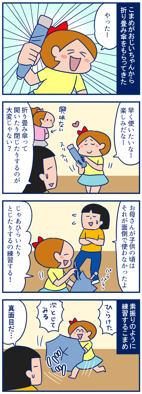 折り畳み傘01