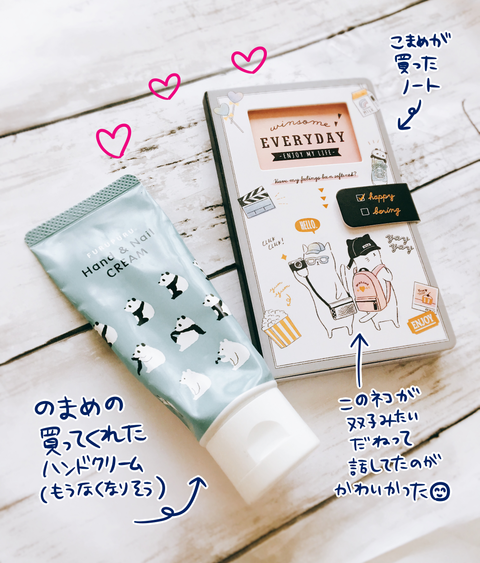 買ってくれたもの