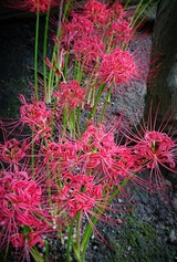 17-09-14-18-34-28-776_deco - コピー