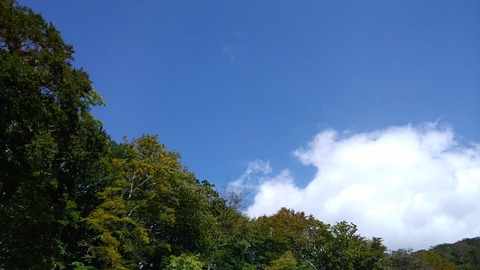20170919104419 (002)