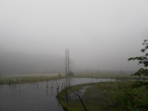 f05471b5.jpg