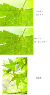 2331c68e.jpg