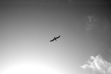 65a70b04.jpg