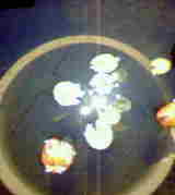 8ba23534.jpg
