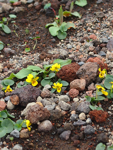 resize12266