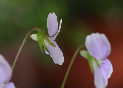 resize8771
