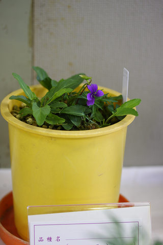 resize8803
