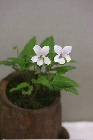 resize8810