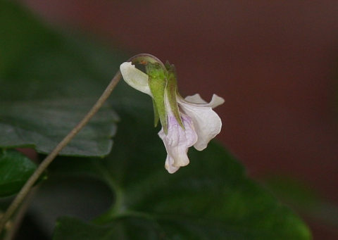 resize8772