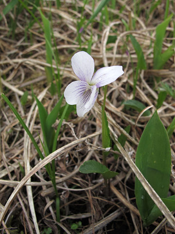 resize11468
