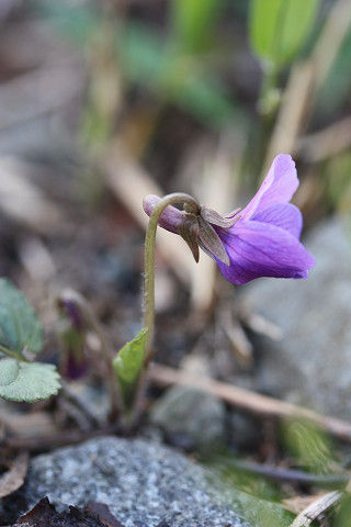 resize5033