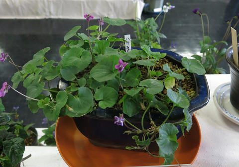 resize32906