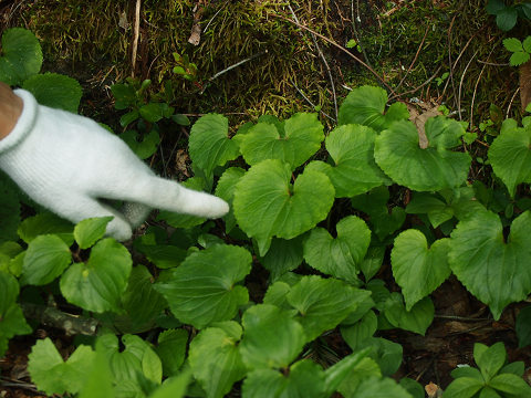 resize12420