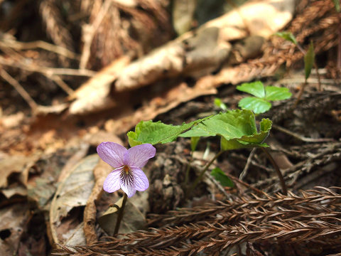 resize21124