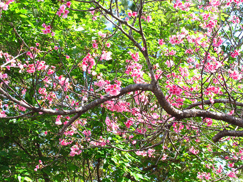 resize8044