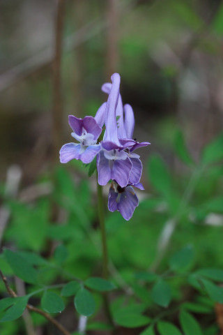 resize5039