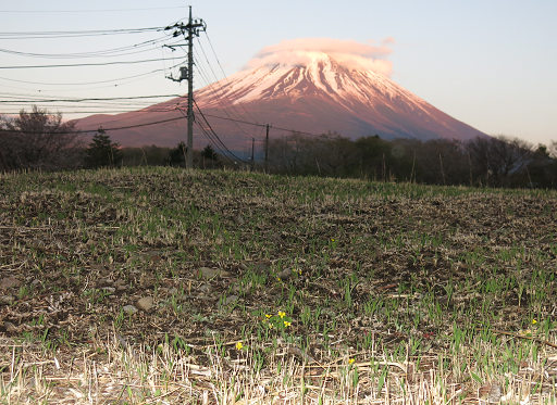 resize22104