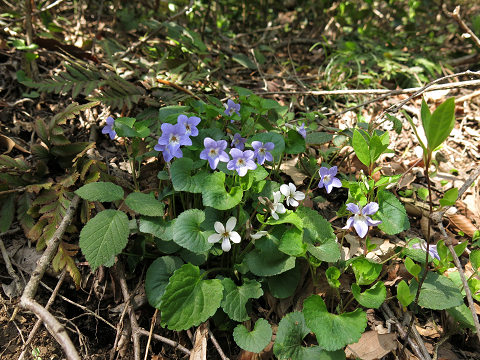 resize21170