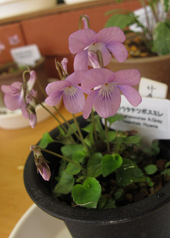 resize9553
