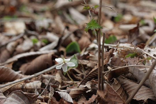 resize22259