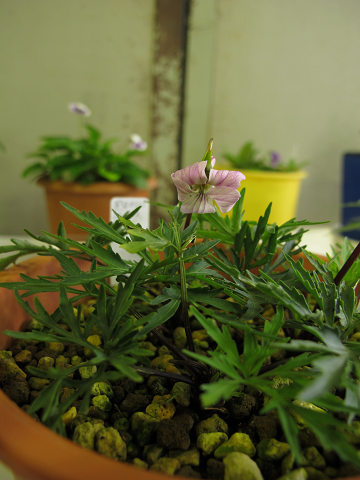 resize8808