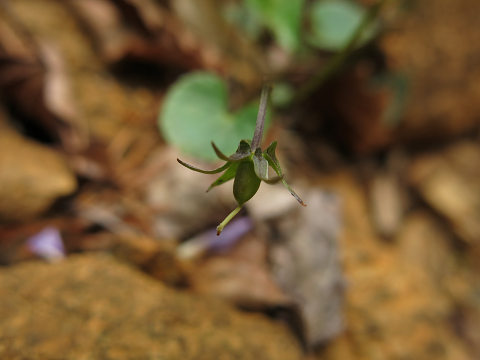 resize23369