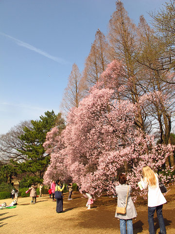 resize9580
