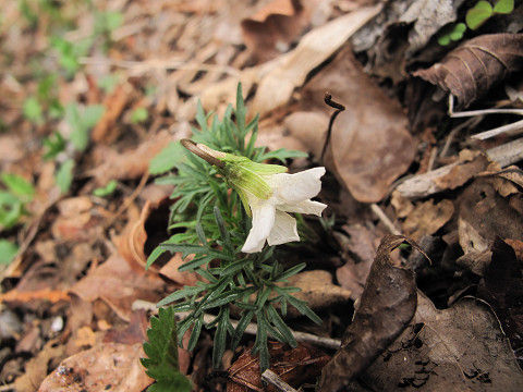 resize5012