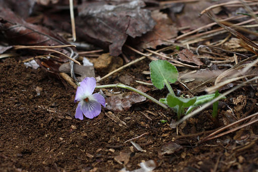 resize33981