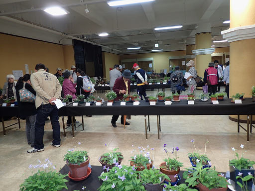 resize56390