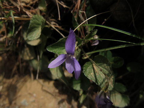 resize23371