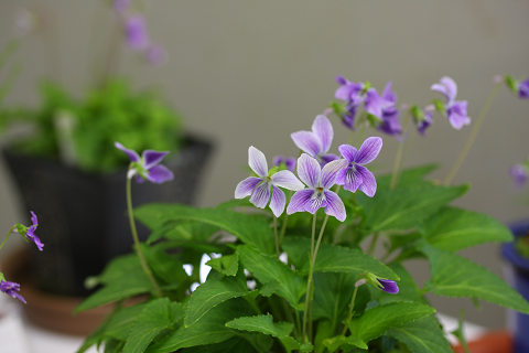 resize8790