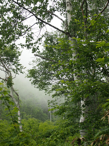 resize12422