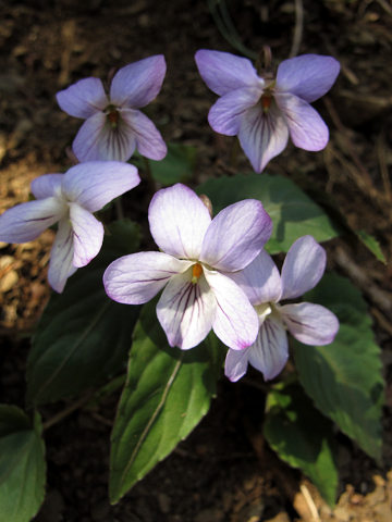resize9455