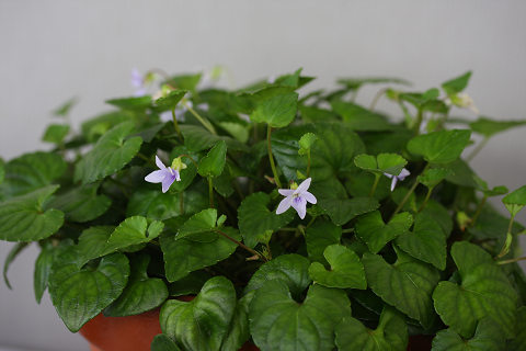resize8770
