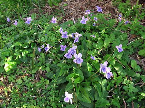resize8024