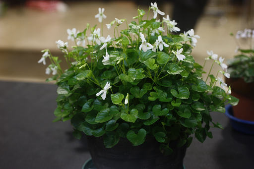 resize56377