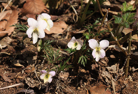 resize4671