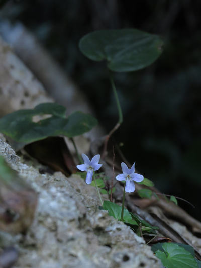 resize55847