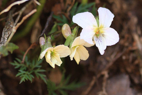 resize4640