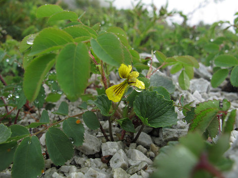 resize12280