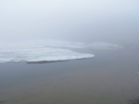 resize12314