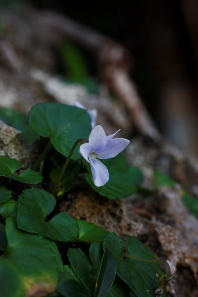 resize55835