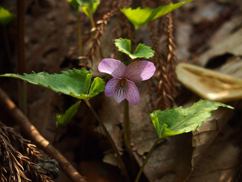 resize21126