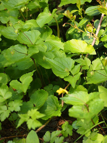 resize12417