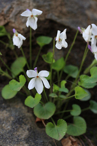resize4830